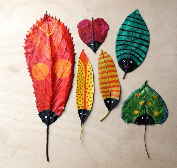 Hazel Terry Leaf Bugs 